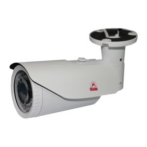 IP камера Sarmatt SR-IN30V2812IRS