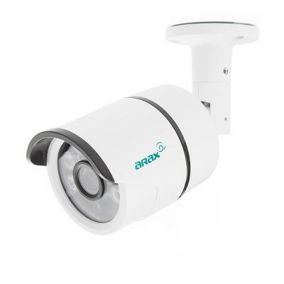 HD-камера Arax RAW-201-Bir, фото 3