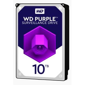 Жесткий диск Western Digital WD101PURZ