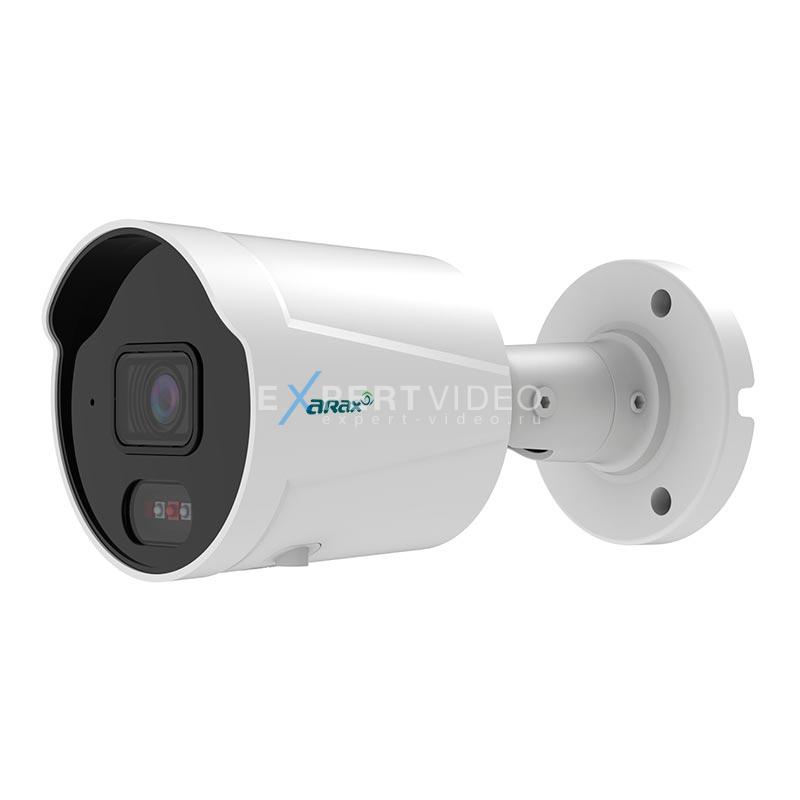 IP камера Arax RNW-401-BirL