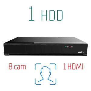 IP видеорегистратор Arax Arax RN-S08-4K+