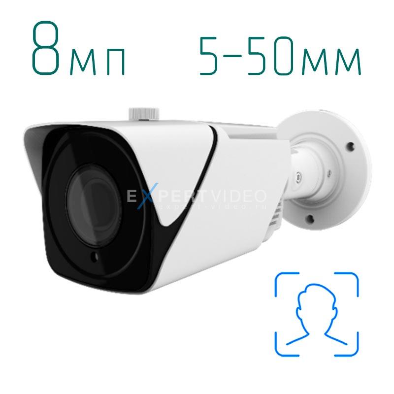 IP камера Arax RNW-803AI-V550mir