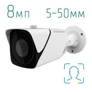 IP камера Arax Arax RNW-803AI-V550mir