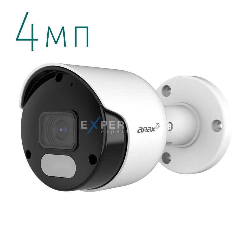 IP камера Arax RNW-400-BirL