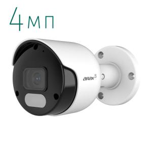 IP камера Arax Arax RNW-400-BirL